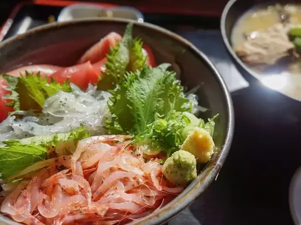 「沼津港で海鮮。久しぶりのドライブで道中の話が弾んだ」宿泊費2泊5万円・67歳女性の伊豆夫婦シニア旅