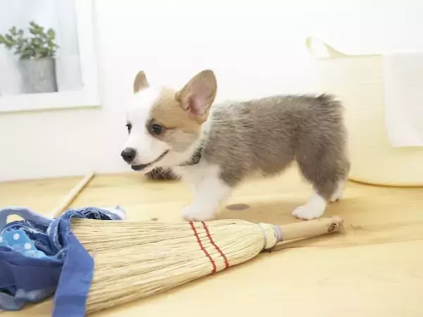 年末の大掃除で金運を呼び込む！50代が冬至までにやっておきたい3つの準備