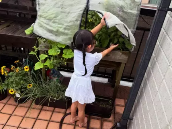 和田正人、家庭菜園の世話をする娘の姿を公開！ 「子供たちが世話してくれてるのでパパは楽チン」