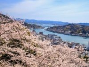 「唯一無二の絶景」広島県の“行ってみたい＆好きな桜の名所”TOP6！ 1位の名所に絶賛の声【2026年調査】