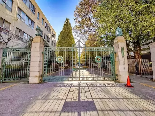 女子大に理工系ラッシュも…高市政権「理系女子倍増」の裏に立ちはだかる“意外な壁”とは