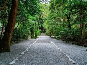 無理して行くと逆効果……「相性が悪い神社」が参拝前後に出す4つの拒否サイン