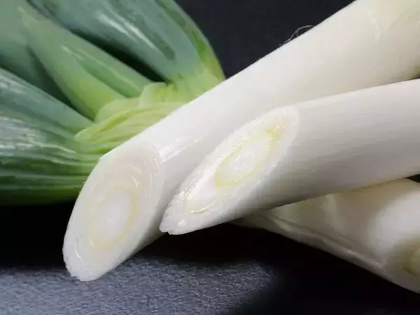 帰省時の手土産にしたい「群馬県のお土産」ランキング！ 2位「下仁田ねぎ煎餅」、1位は？ 【2025年調査】