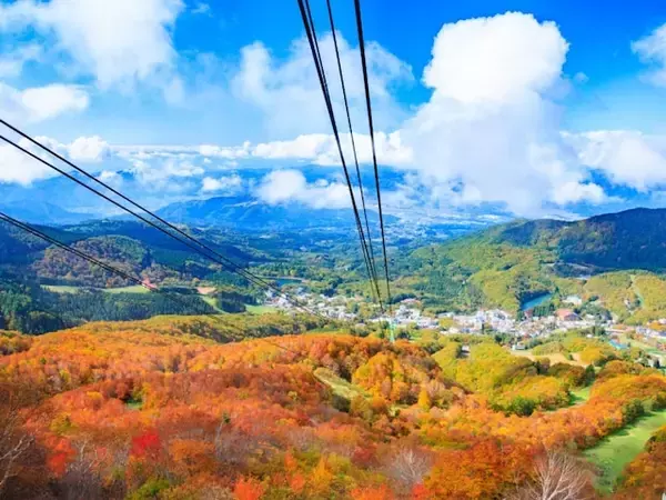 好き＆行ってみたい「日本の高原」ランキング！ 2位「山形蔵王中央高原」を抑えた1位は？【2025年調査】