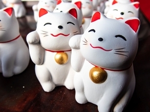 【超レア開運日】3月29日は4つの吉日が重なる日！ 「一粒万倍日×寅の日」に金運を引き寄せる過ごし方