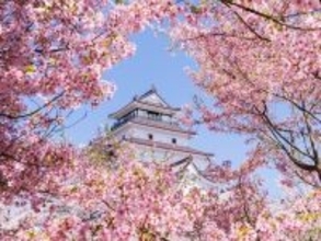 「滝のように広がる姿は圧巻」福島県の“行ってみたい＆好きな桜の名所”9選！ 最多票を獲得したのは？【2026年調査】