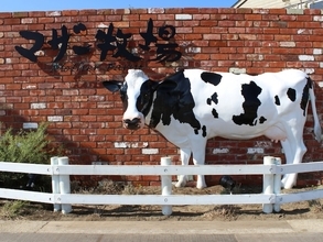 長期休みに行きたいと思う「千葉県の旅行先」ランキング！ 2位「マザー牧場」を抑えた1位は？【2025年調査】