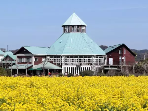 冬に行きたい「千葉県の道の駅」ランキング！ 同率2位「とみうら 枇杷倶楽部」「ローズマリー公園」を抑えた1位は？【2026年調査】