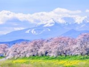 春に行きたいと思う「宮城県の旅行先」ランキング！ 2位「白石川堤一目千本桜」を抑えた1位は？【2026年調査】