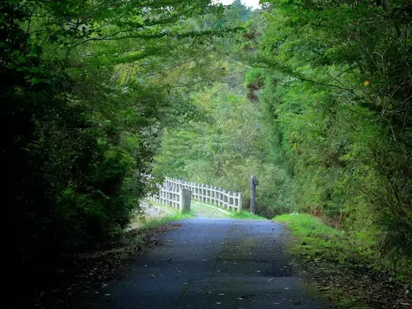 長期休みに行きたい「広島県の穴場秘境」ランキング！ 2位「野呂山原生林」を抑えた1位は？ 【2025年調査】