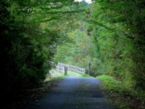 長期休みに行きたい「広島県の穴場秘境」ランキング！ 2位「野呂山原生林」を抑えた1位は？ 【2025年調査】