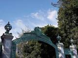 「「中学数学から教え直さないと」カルフォルニア大学での学力崩壊はなぜ？ 入試の変更の盲点」の画像1