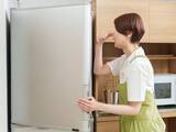 「Q. 夏になると庫内から酸っぱいニオイが……。食材は腐っていないのに、何が悪臭の原因でしょうか？」の画像1