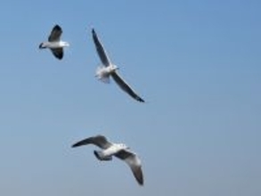 岩手県らしさを感じる「岩手県のお土産」ランキング！ 2位「かもめの玉子」を抑えた1位は？【2026年調査】