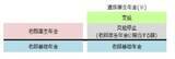「共働きです。65歳以降、夫が先に亡くなったら、夫の遺族厚生年金と自分の老齢厚生年金の両方をもらえるのでしょうか？」の画像2