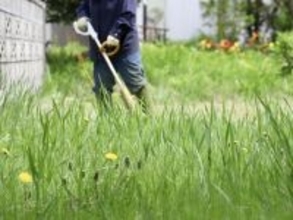 シルバー人材センターで草刈りの請負をしています。この場合も年金カットはありませんか？