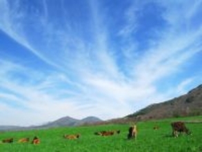 遠方からでも行きたいと思う「岡山県の道の駅」ランキング！ 2位「蒜山高原（真庭市）」を抑えた1位は？【2025年調査】