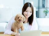 「少額から始めやすい！ 初心者向けの7月の株主優待株・3選」の画像1