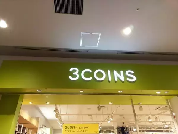 【30代主婦に聞いた】3COINSで買ってよかった商品3選！「旅行先ですごく役に立った」便利アイテムは？