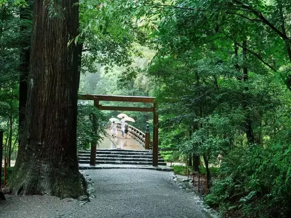 神社で急な雨や風……実は吉兆？ 「神様に歓迎されている人」に現れる6つのサイン