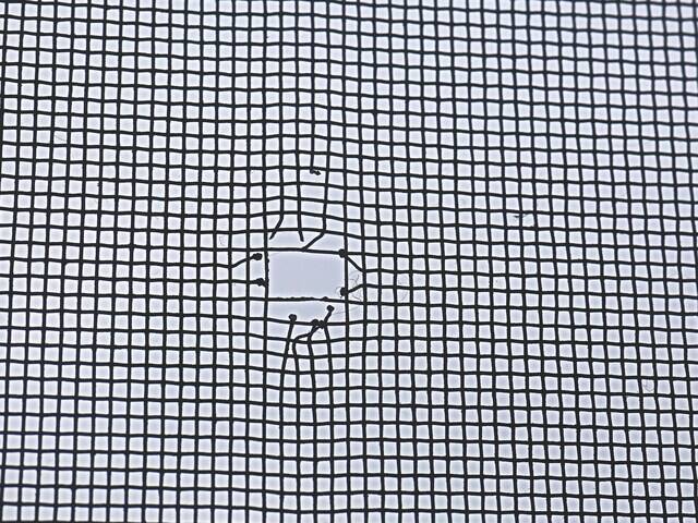 網戸にしているのになぜ!? 虫が侵入する「盲点」と今すぐできる「対策」