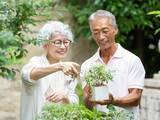 「「定年夫と3食一緒」にゾッ……。老後も円満な夫婦が実践する「距離感」の作り方」の画像1