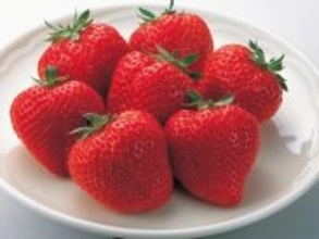 旅先で買いたい「福岡県のお土産」ランキング！ 2位「あまおうのチョコタルト」を抑えた1位は？ 【2025年調査】