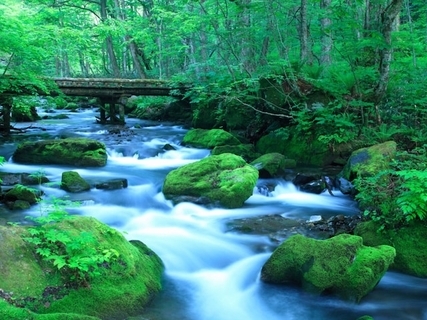 子連れで行きたいと思う「青森県の道の駅」ランキング！ 2位「奥入瀬」を抑えた1位は？ 【2025年調査】