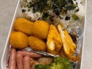 「最高やん」鈴木奈々、甥っ子への手作り弁当公開！ 「美味しい美味しい食べてくれるの嬉しいね」