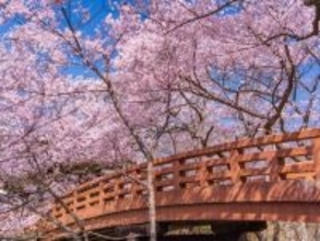 長野県の「行ってみたい＆好きな桜の名所」TOP10！ 2位「高遠城址公園」を抑えた1位は？【2026年調査】