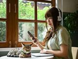「NISAで長く持ちたい！連続増配が期待できる高配当株・3選」の画像1