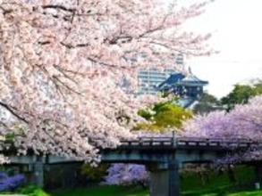 「昼と夜で違った顔に……」愛知県の“行ってみたい＆好きな桜の名所”ランキング1位に反響！【2026年調査】