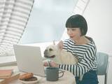 「個人向け国債と定期預金どっちがお得？失敗しない選び方」の画像1