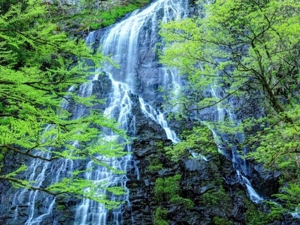 長期休みに行きたい「福井県の穴場秘境」ランキング！ 2位「龍双ケ滝」を抑えた1位は？【2025年調査】