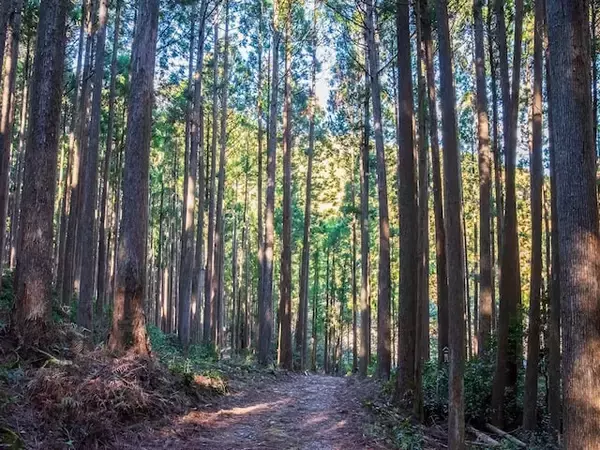 読むのが難しいと思う「三重県の自治体」ランキング！ 2位「度会町」を抑えた1位は？【2026年調査】
