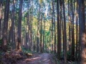 読むのが難しいと思う「三重県の自治体」ランキング！ 2位「度会町」を抑えた1位は？【2026年調査】