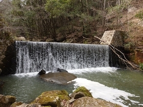 長期休みに行きたい「岡山県の穴場秘境」ランキング！ 「鳴滝森林公園」を抑えた同率1位は？【2025年調査】