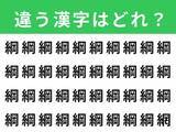 「【漢字間違い探しクイズ】見つけると快感！「綱」の中にある別の漢字は？ 1分以内で挑戦しよう」の画像1