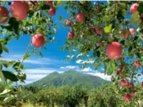 旅先で買いたい「青森県のお土産」ランキング！ 2位「林檎けんぴ」を抑えた1位は？ 【2025年調査】