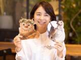 「「愛猫家」の印象が強い女性芸能人ランキング！ 2位「石田ゆり子」、1位は？」の画像1