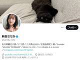 「「叩かれて可哀想」新田さちか、“おじさん”と同居疑惑に反応「スルースキル低すぎる」「地獄よな」」の画像1