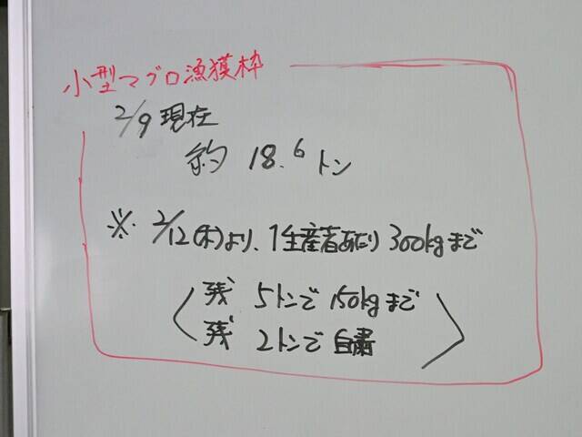 5年で漁獲量5倍！ 京都で“海のダイヤ”クロマグロが豊漁なのに「値下がりしない」のはなぜ？