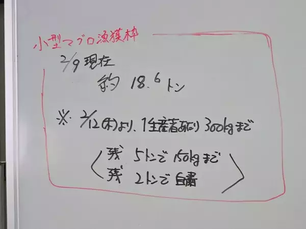 「5年で漁獲量5倍！ 京都で“海のダイヤ”クロマグロが豊漁なのに「値下がりしない」のはなぜ？」の画像