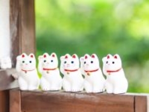 【トリプル吉日】5月17日は豊かさを育てる最強日！ 一粒万倍日×牡牛座新月に「やるといいこと」は？