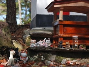 好き＆行ってみたい「宮城県のパワースポット」ランキング！ 「猫神社」を抑えた同率1位は？【2025年調査】