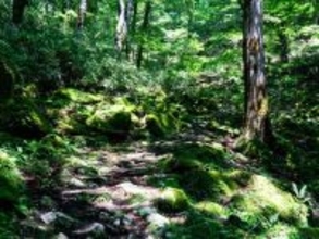 読むのが難しいと思う「岡山県の自治体」ランキング！ 2位「西粟倉村」を抑えた1位は？【2026年調査】