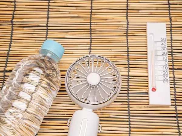 昨年夏の電気代1800円「公営住宅にエアコンなし」67歳女性のひとり暮らし
