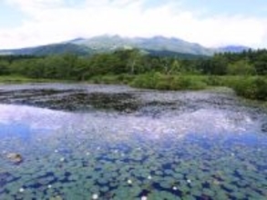 【新潟県】「ゆっくりできそう」黒泥露天風呂も楽しめる「池の平温泉」の魅力とは？