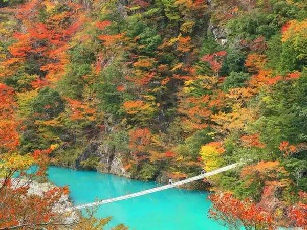 長期休みに行きたい「静岡県の穴場秘境」ランキング！ 2位「寸又峡・夢の吊り橋」、1位は？ 【2025年調査】