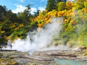 【秋田県】自然のエネルギーを肌で感じる「秋田八幡平温泉郷」の魅力とは？ 森林セラピーもできる癒しの地